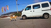 シュルとお父さん